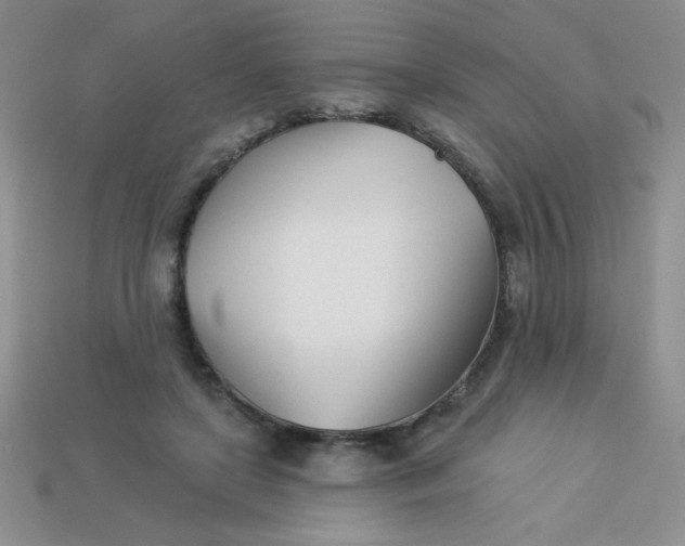 X0000113000451200909101800