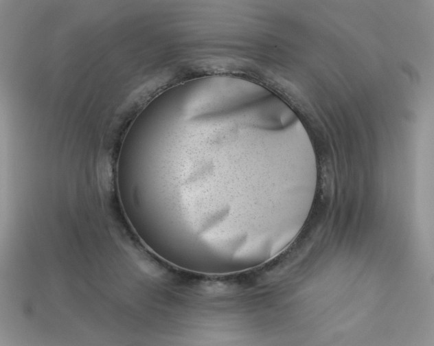 X0000113000453200909101800