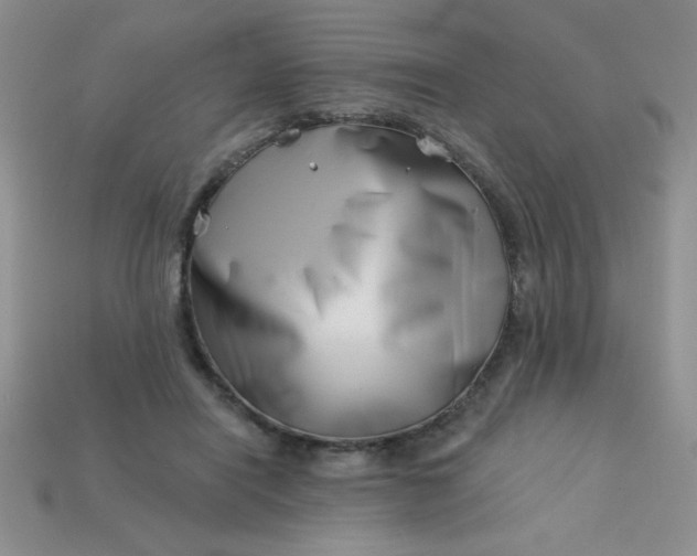 X0000113000454200909101800