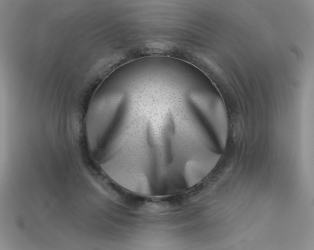 X0000113000455200909101800