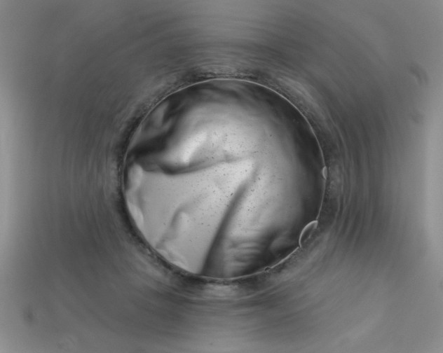 X0000113000457200909101800