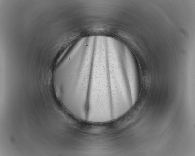 X0000113000458200909101800