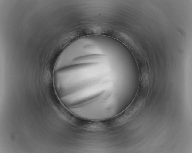 X0000113000459200909101800