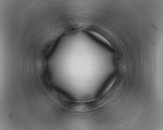 X0000113000460200909101800