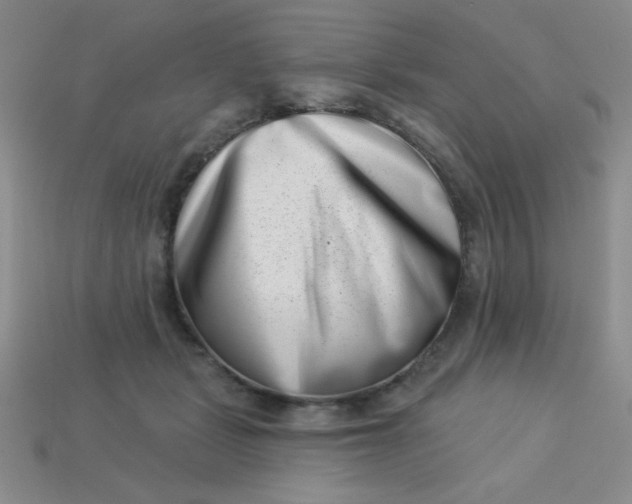 X0000113000461200909101800