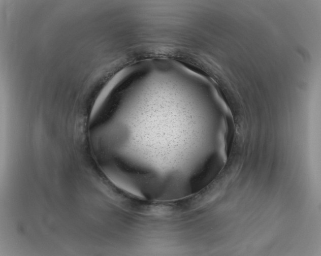 X0000113000462200909101800