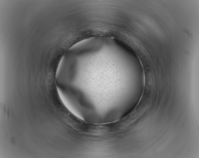 X0000113000463200909101800