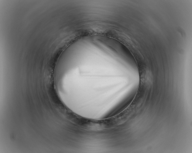 X0000113000464200909101800