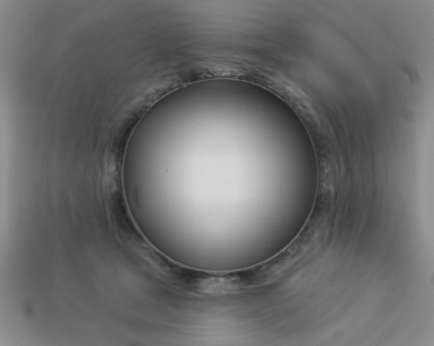 X0000113000465200909101800