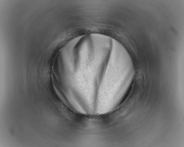 X0000113000466200909101800