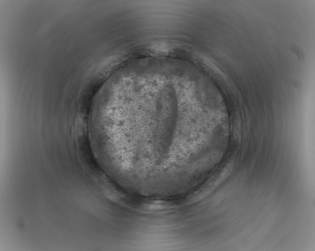 X0000113000467200909101800