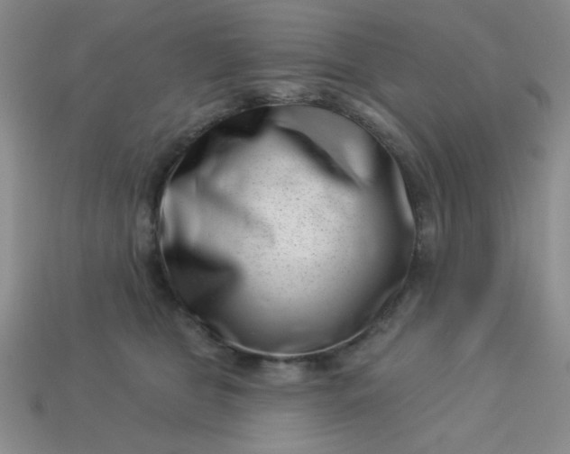 X0000113000469200909101800