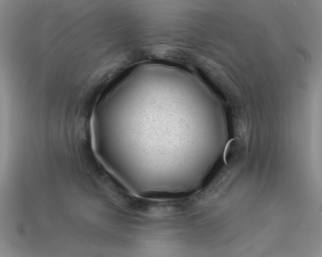 X0000113000470200909101800