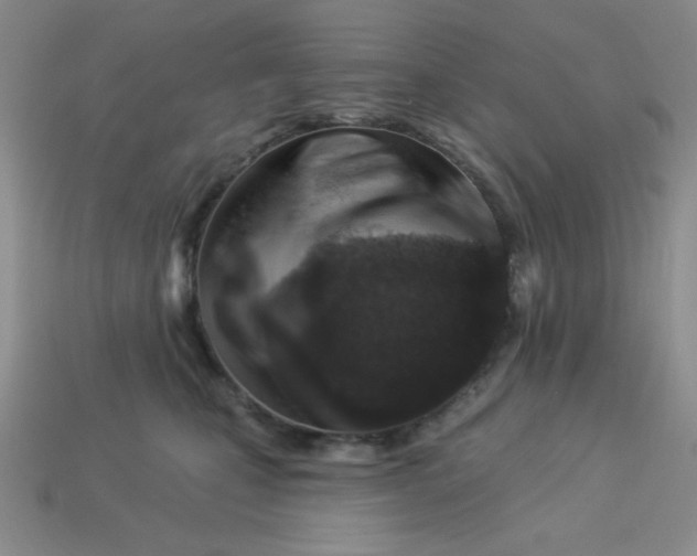 X0000113000471200909101800