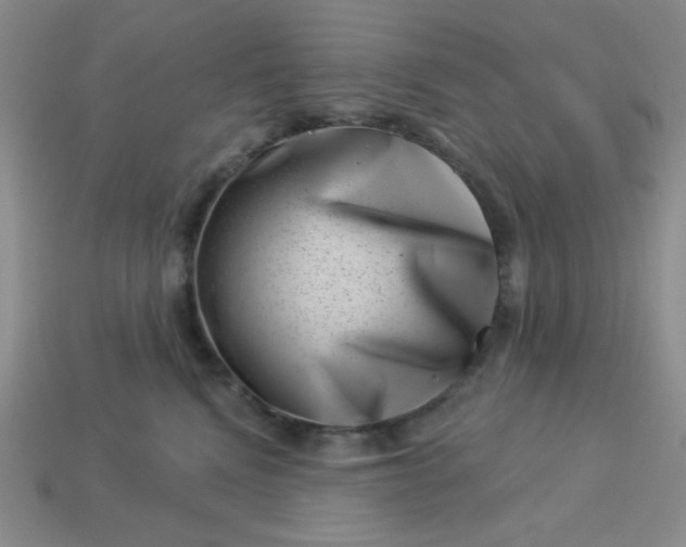 X0000113000472200909101800