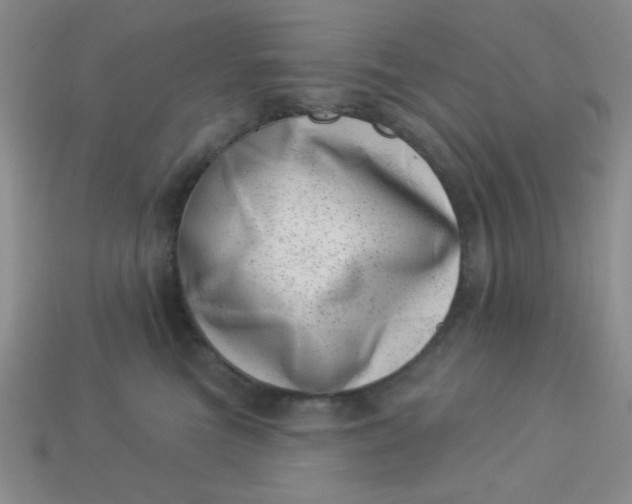 X0000113000473200909101800