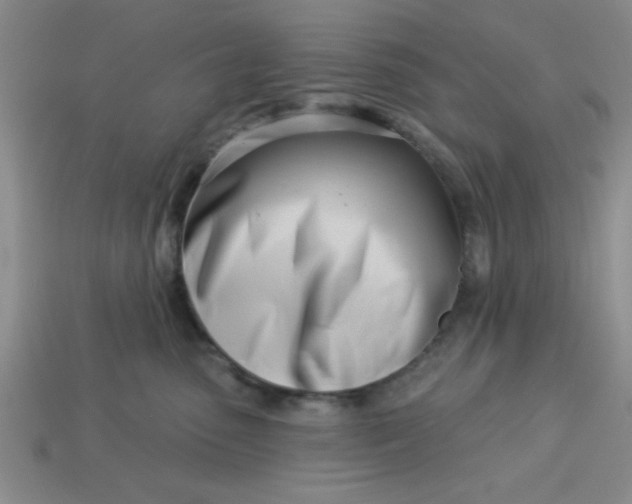 X0000113000475200909101800