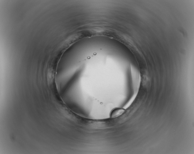 X0000113000476200909101800