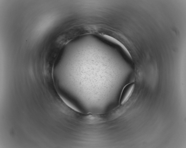 X0000113000477200909101800