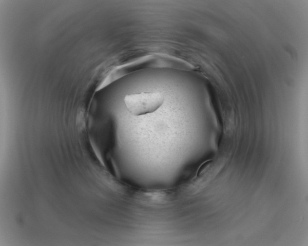 X0000113000478200909101800