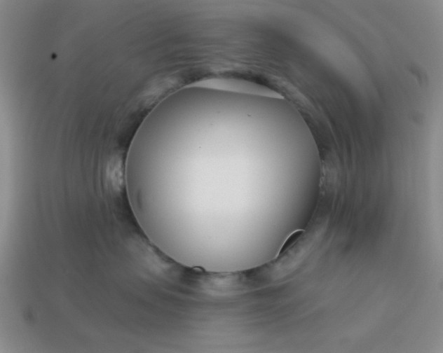 X0000113000479200909101800