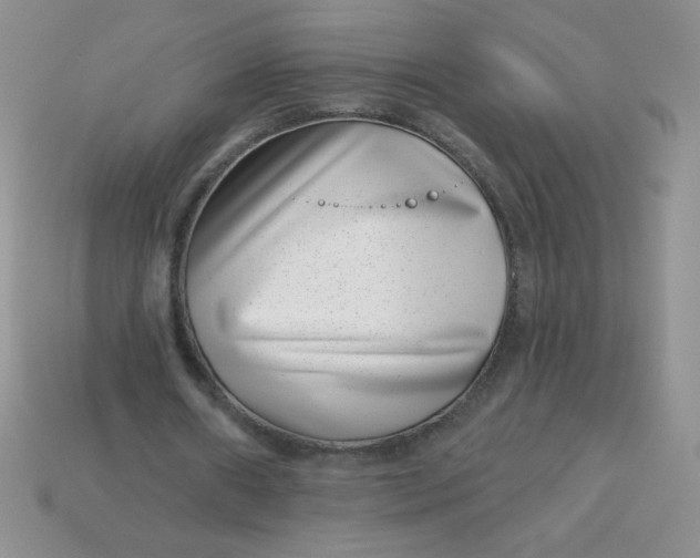 X0000113000482200909101800