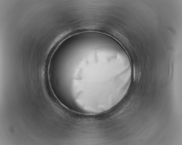 X0000113000483200909101759