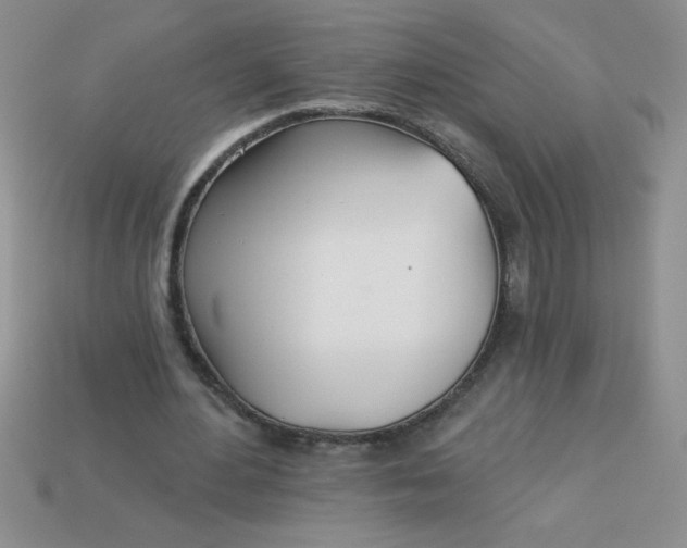 X0000113000484200909101759