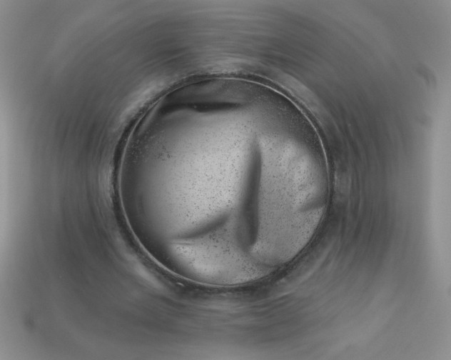 X0000113000485200909101759