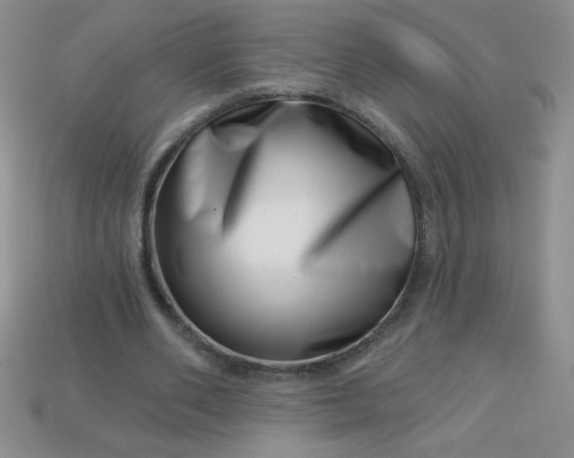 X0000113000486200909101759