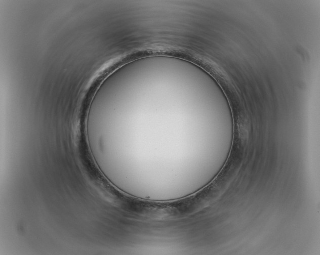 X0000113000488200909101759