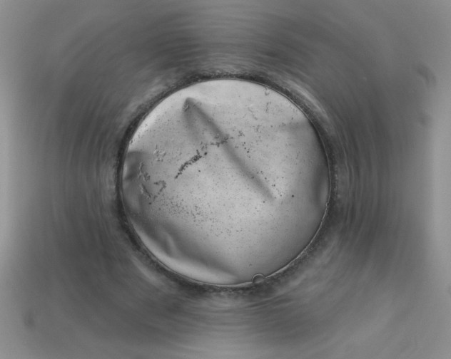 X0000113000489200909101759