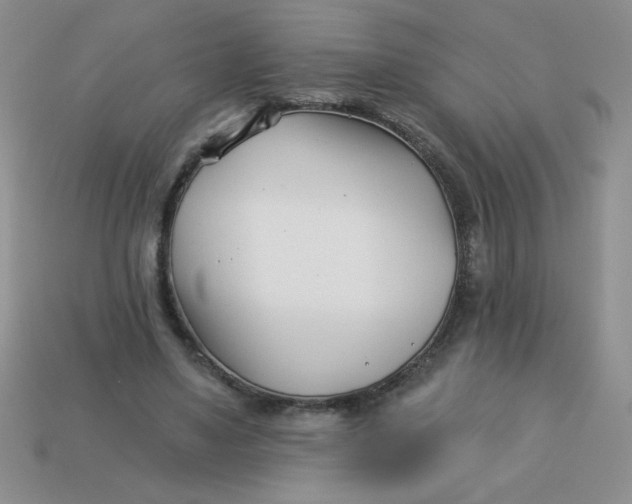 X0000113000491200909101759