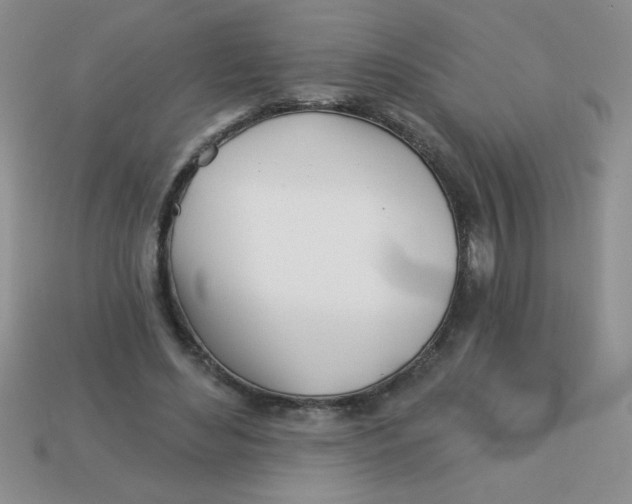 X0000113000492200909101759