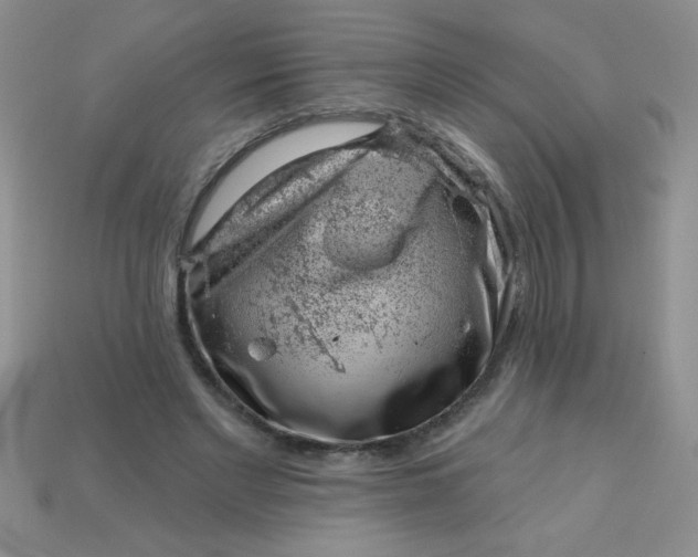 X0000113000493200909101759