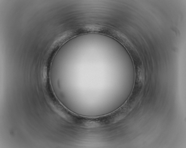 X0000113000494200909101759