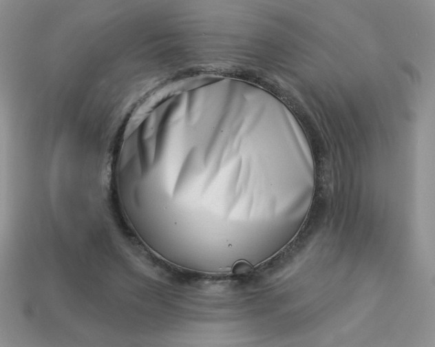 X0000113000495200909101759