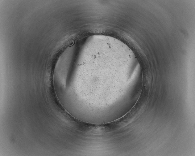 X0000113000497200909101759