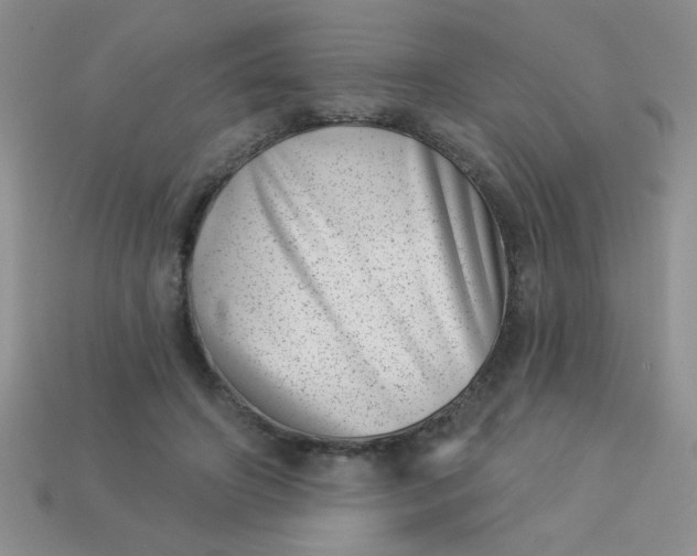 X0000113000498200909101759