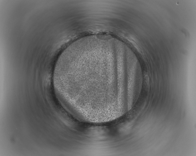 X0000113000499200909101759