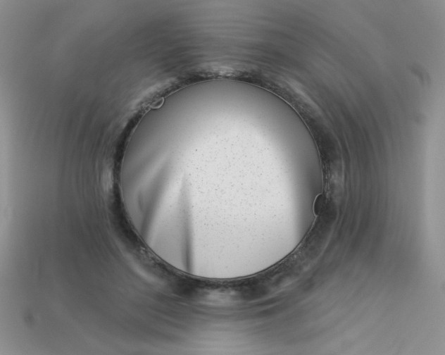 X0000113000500200909101759