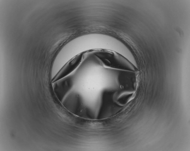 X0000113000501200909101759