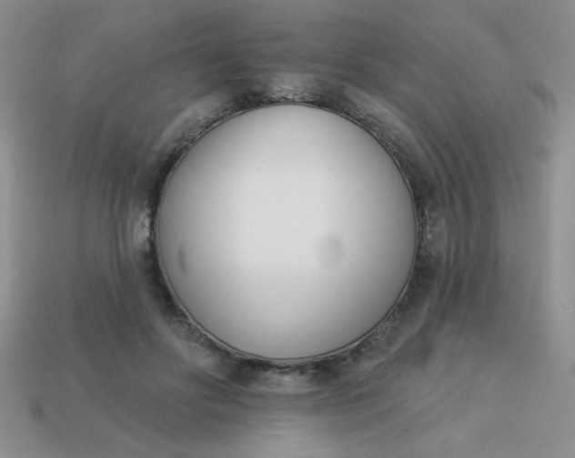 X0000113000502200909101759