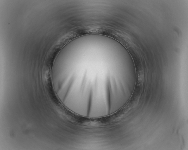 X0000113000503200909101759