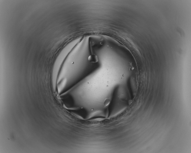 X0000113000505200909101759