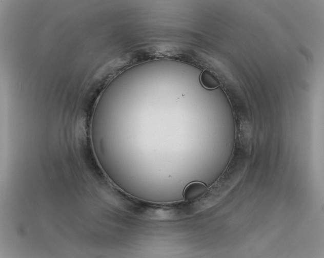 X0000113000506200909101759