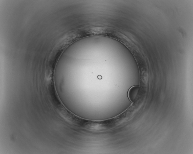 X0000113000507200909101759