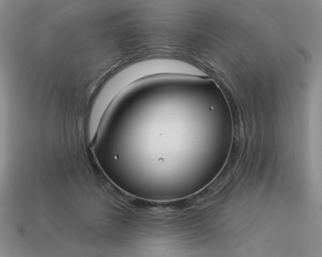 X0000113000508200909101759