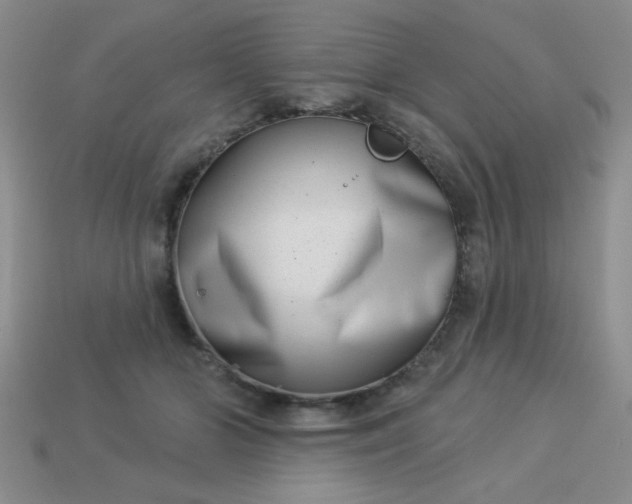 X0000113000510200909101759