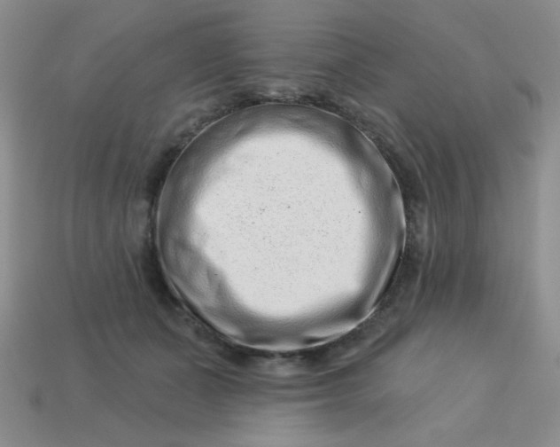 X0000113000511200909101759